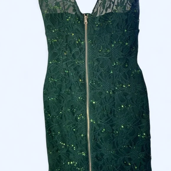 Adrianna Papell Hailey green lace dress with sequins and zipper back 2 - Picture 5 of 7